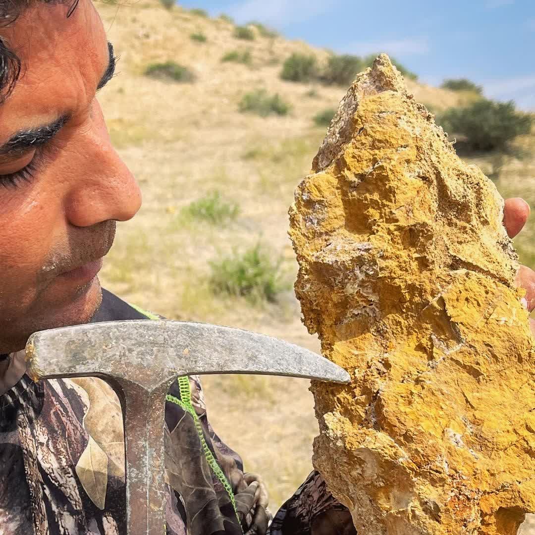 کشف اولین آثار کانیزایی طلا در رگه ی حاوی شواهد