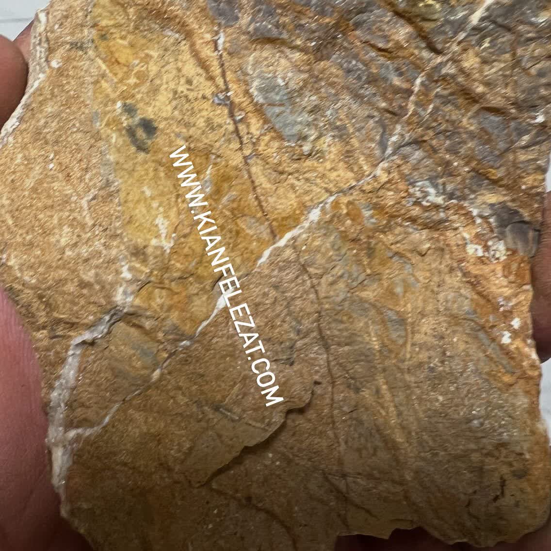 یک قاب استثنایی از سه نسل کانیزایی فلزات طلا، نقره ، پلاتین ، پالادیوم ، رودیوم ، ایریدیوم و روتنیوم طی ۶۶ میلیون سال.